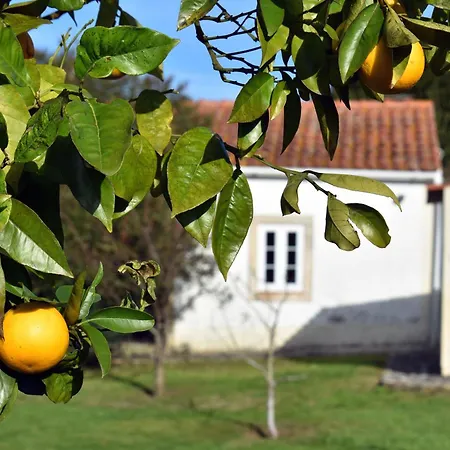 Casal Laranjeiras Casa de Férias Óbidos